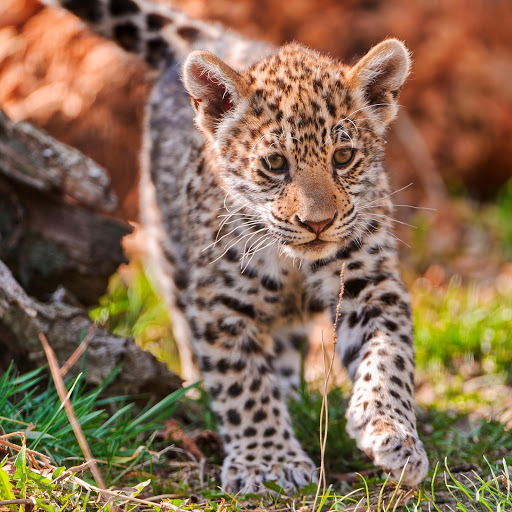 Hd-175389-ascw175389