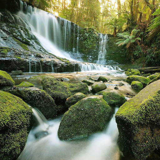 Hd-151538-ascw151538