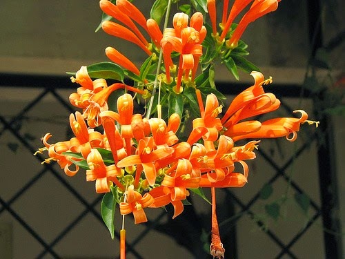 [clip_image007%255B3%255D.jpg]