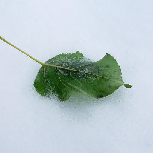 Hd-170346-ascw170346