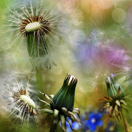 Hd-148417-ascw148417