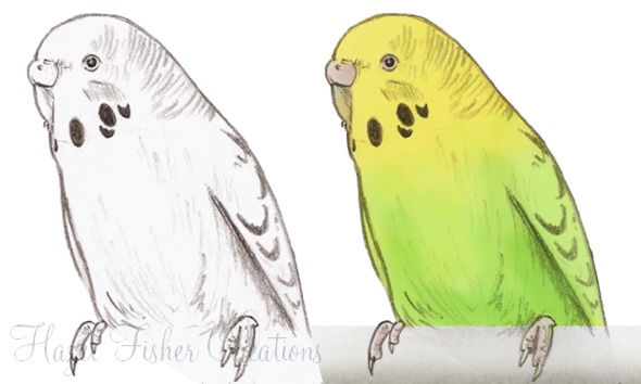 2013Apr05 budgies sketches