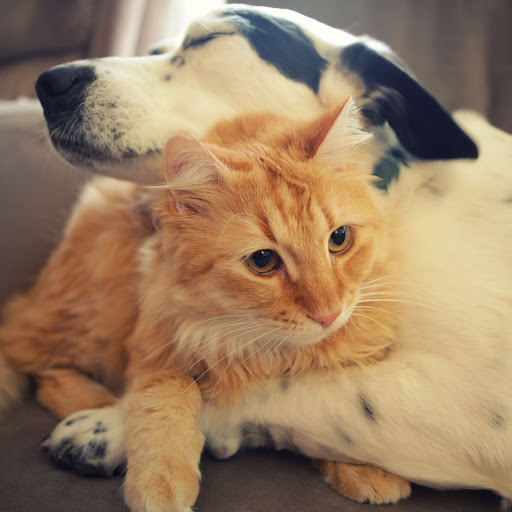 Hd-160858-ascw160858