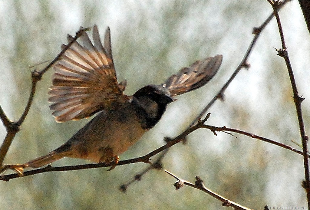 [DSC_8718%255B4%255D.jpg]