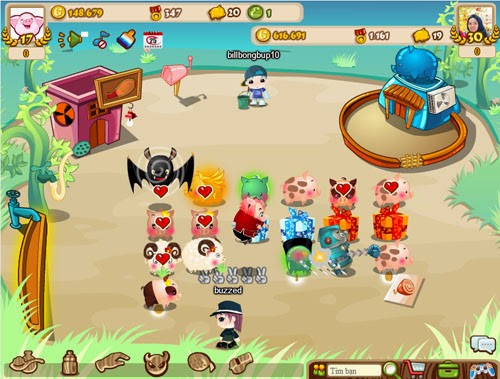 3_Heo dac biet co 1_0_2.jpg