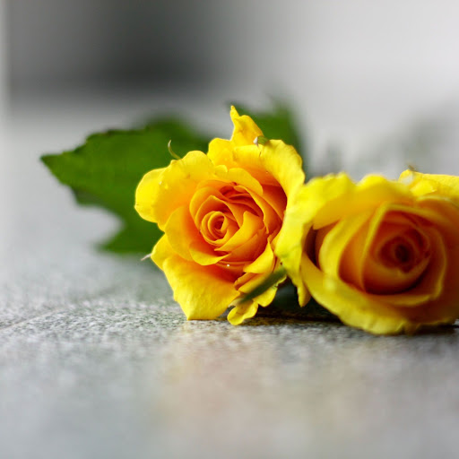 Hd-152764-ascw152764