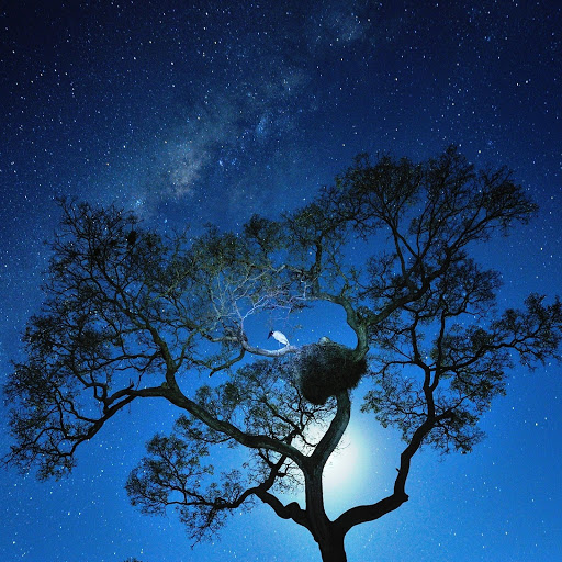 Hd-160024-ascw160024