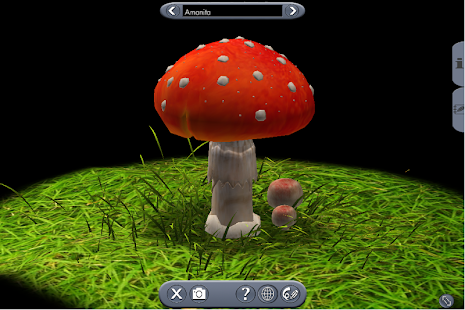 Lastest Biology 4 APK for PC