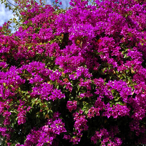 Hd-153325-ascw153325