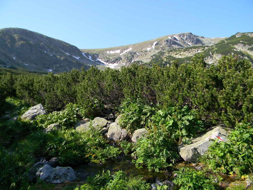 [DSCN23043.jpg]