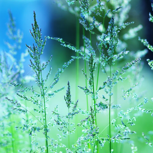 Hd-147622-ascw147622