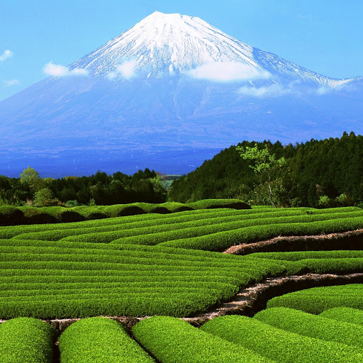 Hd-146174-ascw146174