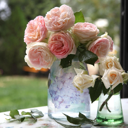 Hd-177954-ascw177954