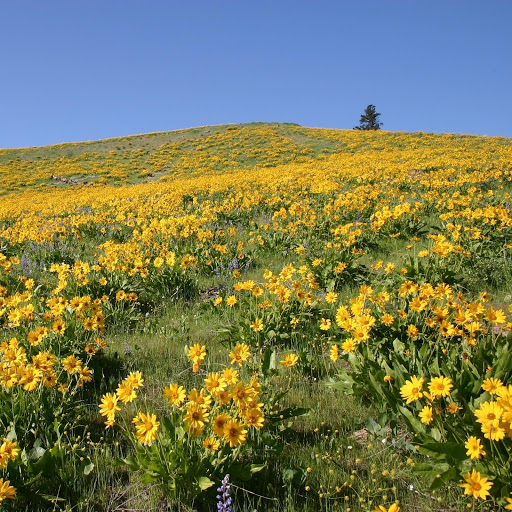 Hd-174523-ascw174523