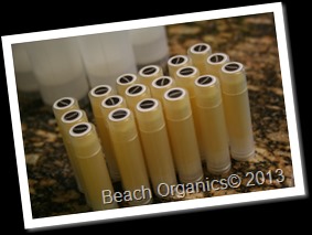 Beach Organics Behind the Scenes Lip Balms
