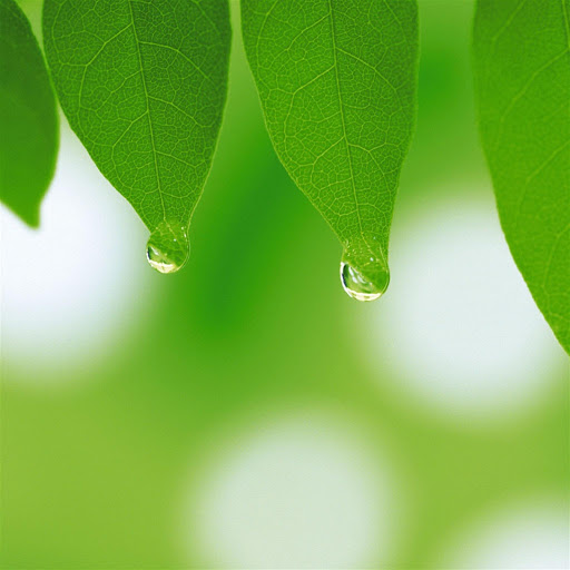 Hd-139509-ascw139509