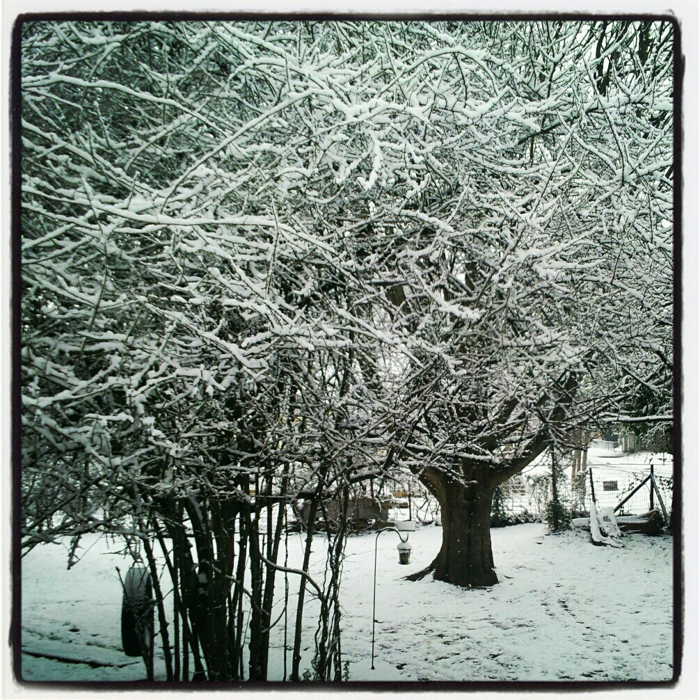 Ponderings of an Elect Exile Snow Day