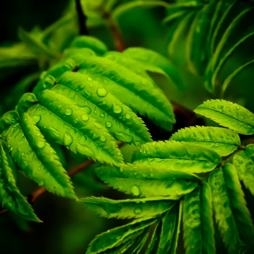 Hd-163649-ascw163649