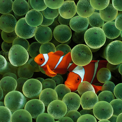 Hd-144134-ascw144134