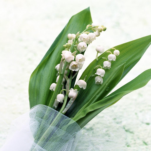 Hd-174236-ascw174236