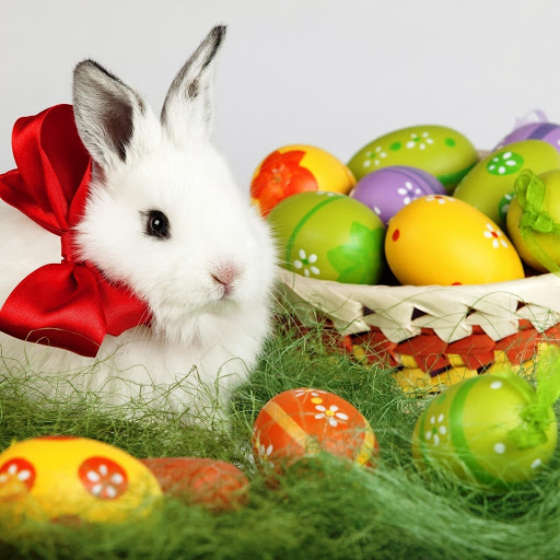 Hd-151716-ascw151716