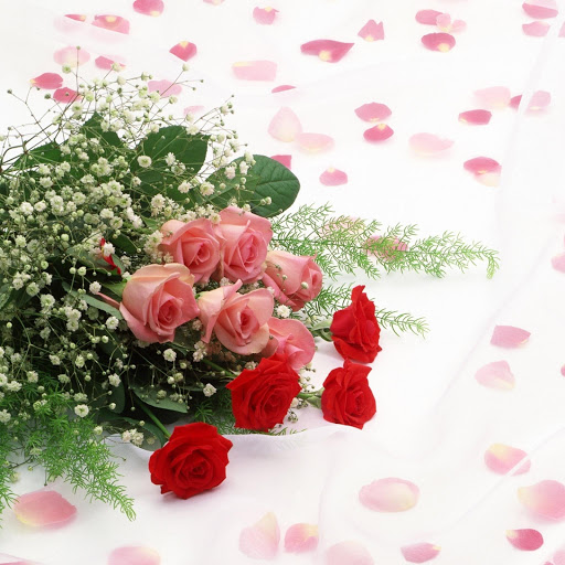 Hd-157400-ascw157400