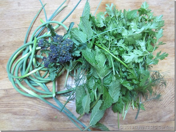 scapes_and_herbs