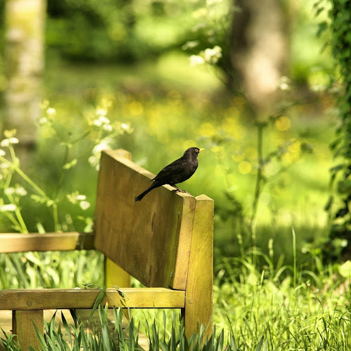 Hd-182508-ascw182508