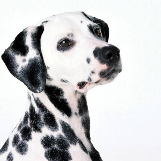 Hd-173705-ascw173705