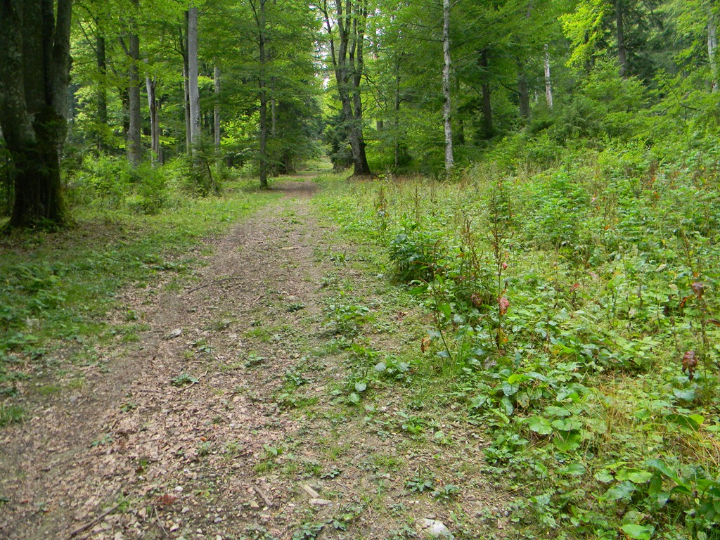 [DSCN41073.jpg]