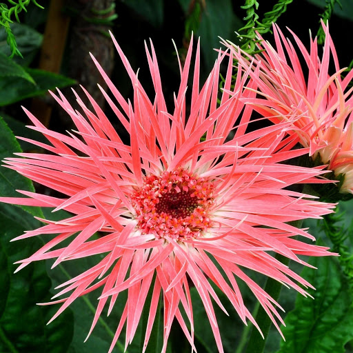 Hd-165791-ascw165791