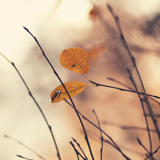 Hd-170621-ascw170621