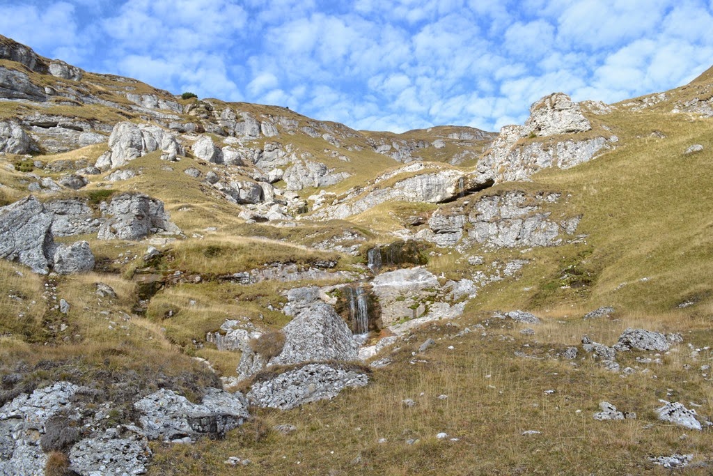 [DSC_38423.jpg]