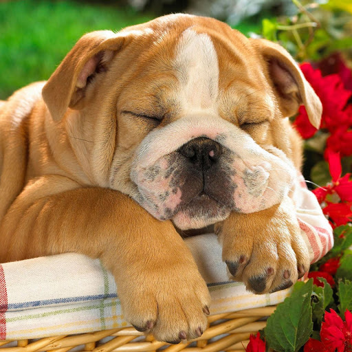 Hd-139635-ascw139635