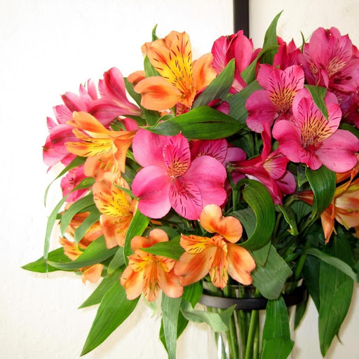 Hd-149158-ascw149158