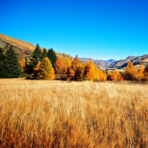 Hd-147355-ascw147355