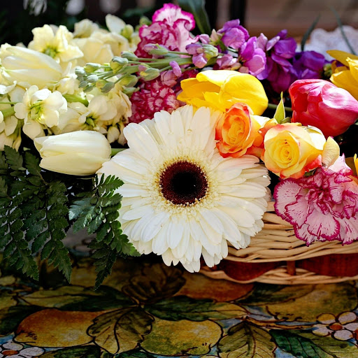 Hd-165738-ascw165738