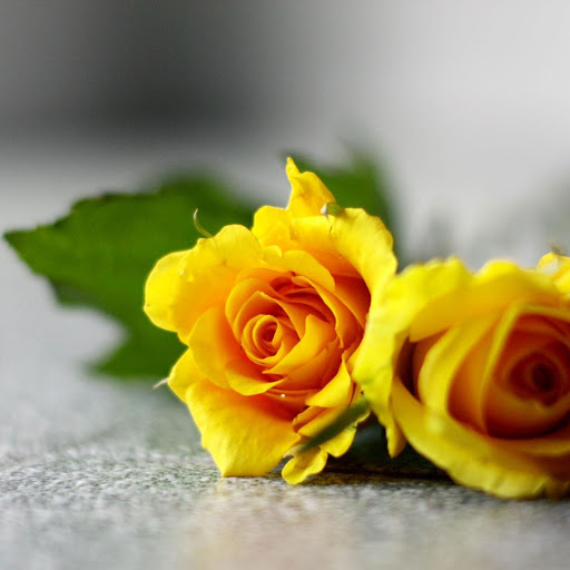 Hd-171320-ascw171320