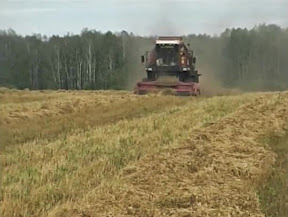 Урожая региону хватит