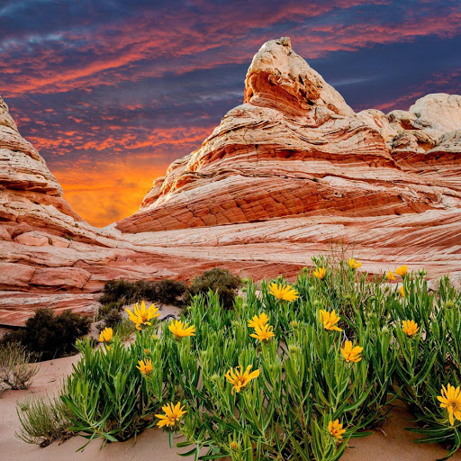 Hd-170201-ascw170201