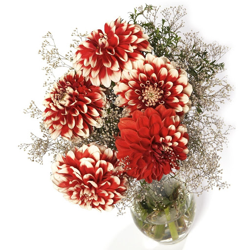 Hd-184530-ascw184530