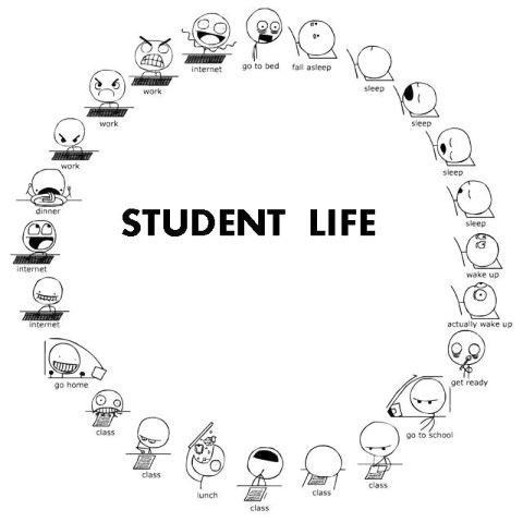 Жизнь студенческая в круговороте...