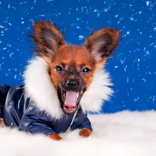 Hd-173752-ascw173752