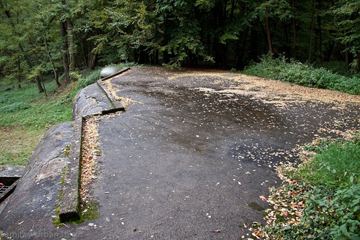 [clip_image0743.jpg]