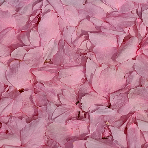 Hd-141951-ascw141951