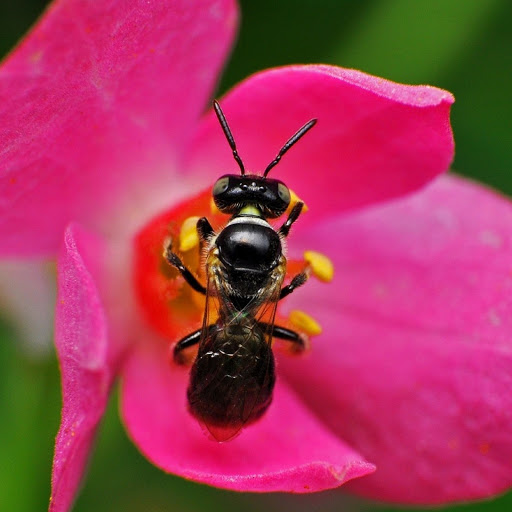 Hd-180138-ascw180138