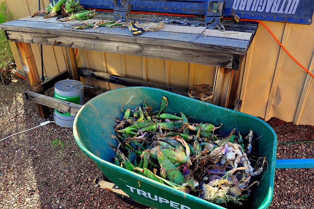 [DSC_0014-001%255B4%255D.jpg]