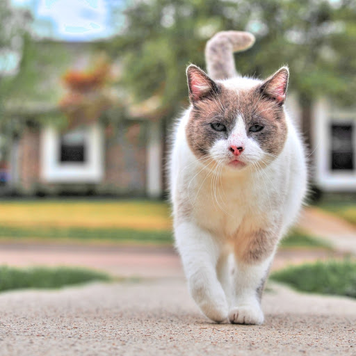 Hd-179015-ascw179015