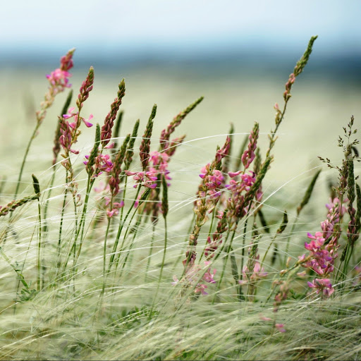 Hd-142043-ascw142043