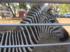 IMG_8692 IMG_8692
